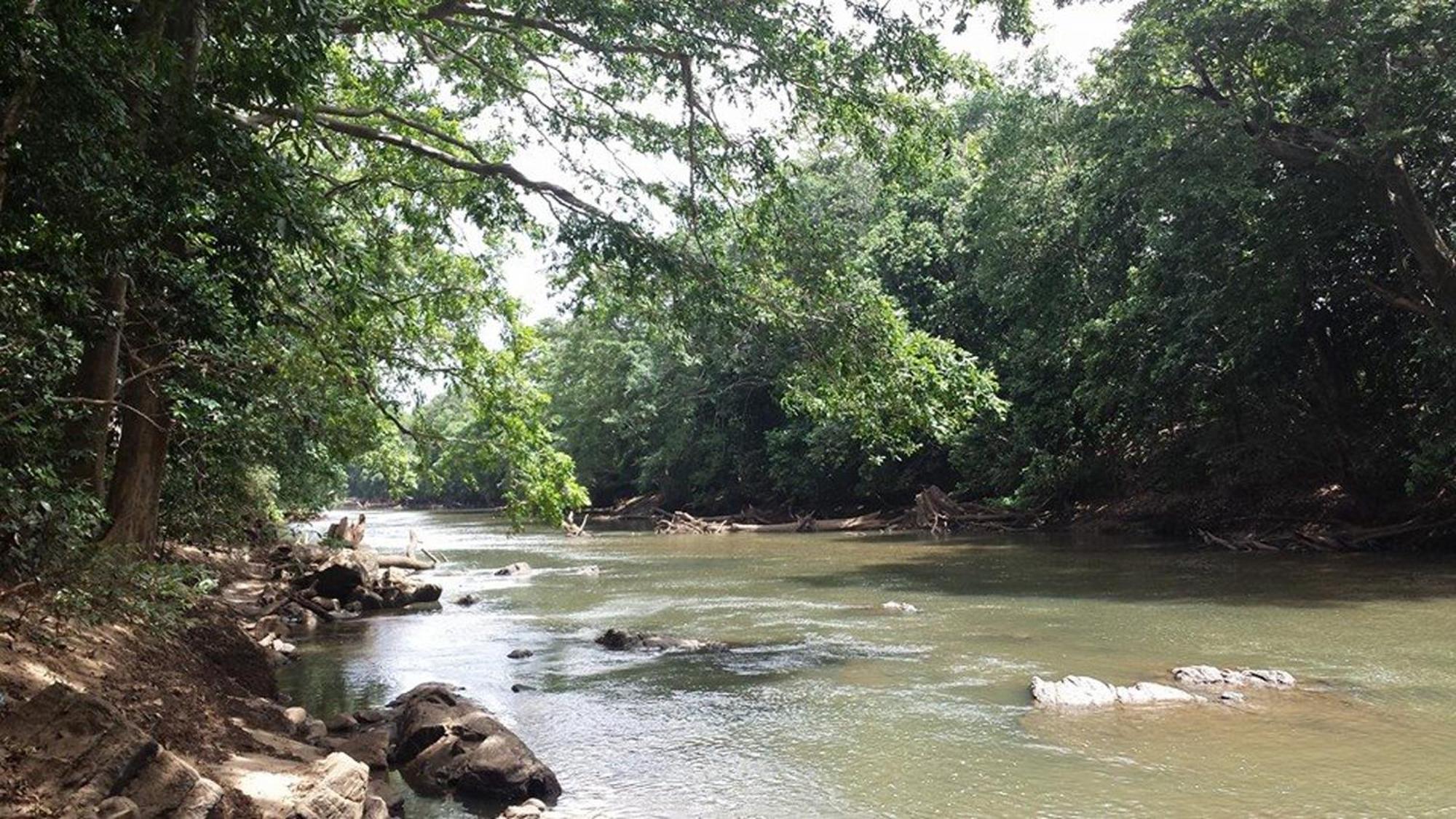 A4 Villas Udawalawe Bagian luar foto